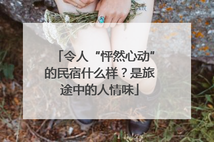 令人“怦然心动”的民宿什么样？是旅途中的人情味