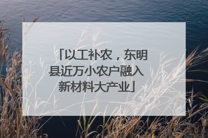 以工补农，东明县近万小农户融入新材料大产业