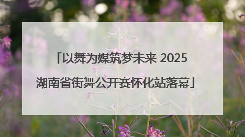 以舞为媒筑梦未来 2025湖南省街舞公开赛怀化站落幕