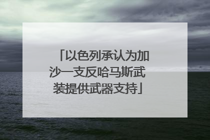 以色列承认为加沙一支反哈马斯武装提供武器支持