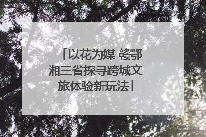 以花为媒 赣鄂湘三省探寻跨城文旅体验新玩法