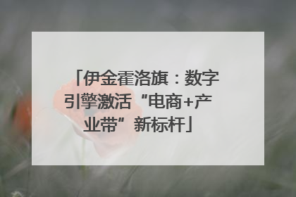 伊金霍洛旗：数字引擎激活“电商+产业带”新标杆