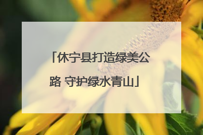 休宁县打造绿美公路 守护绿水青山