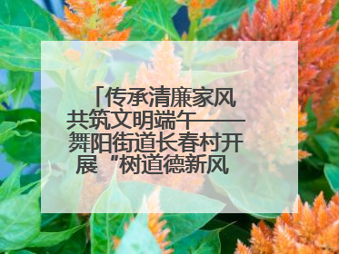 传承清廉家风 共筑文明端午——舞阳街道长春村开展“树道德新风 扬端午文化”主题活动