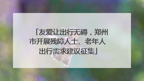 友爱让出行无碍，郑州市开展残障人士、老年人出行需求建议征集