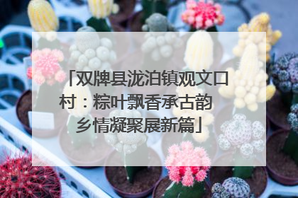 双牌县泷泊镇观文口村：粽叶飘香承古韵 乡情凝聚展新篇