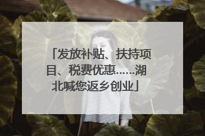 发放补贴、扶持项目、税费优惠……湖北喊您返乡创业
