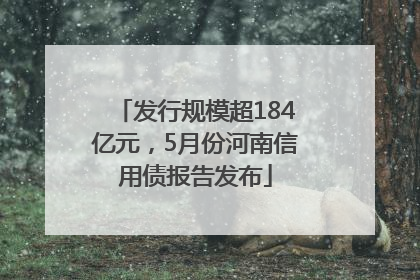 发行规模超184亿元，5月份河南信用债报告发布