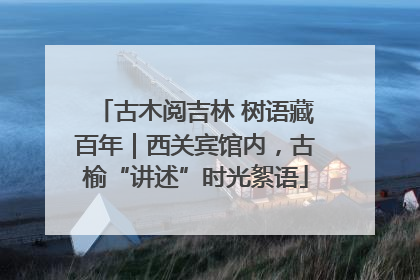 古木阅吉林 树语藏百年｜西关宾馆内，古榆“讲述”时光絮语