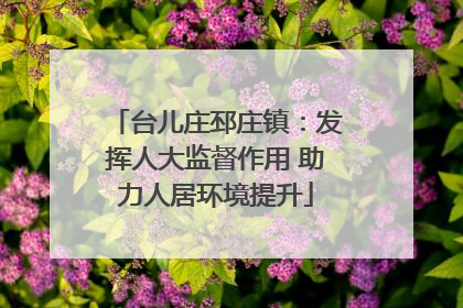 台儿庄邳庄镇：发挥人大监督作用 助力人居环境提升