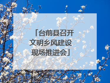 台前县召开文明乡风建设现场推进会