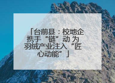 台前县：校地企携手“链”动 为羽绒产业注入“匠心动能”