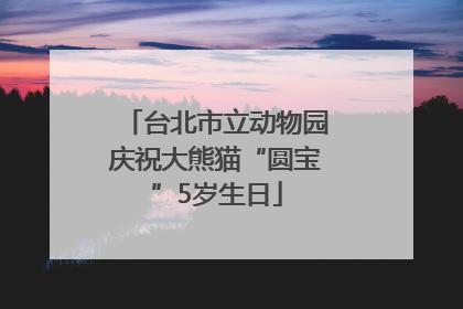 台北市立动物园庆祝大熊猫“圆宝”5岁生日