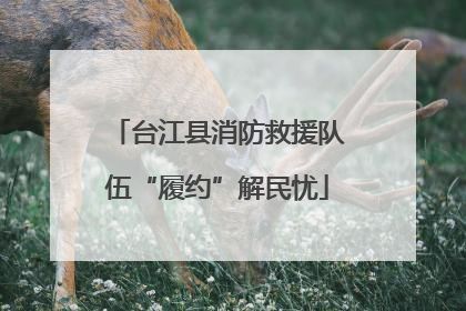 台江县消防救援队伍“履约”解民忧