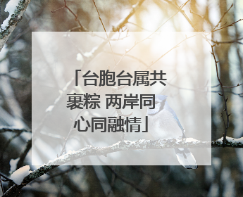 台胞台属共裹粽 两岸同心同融情