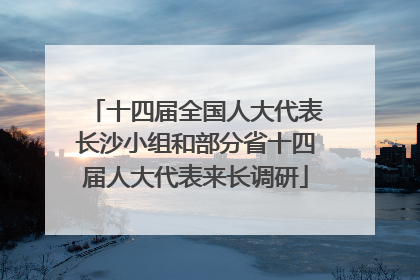 十四届全国人大代表长沙小组和部分省十四届人大代表来长调研
