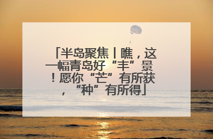 半岛聚焦丨瞧，这一幅青岛好“丰”景！愿你“芒”有所获，“种”有所得