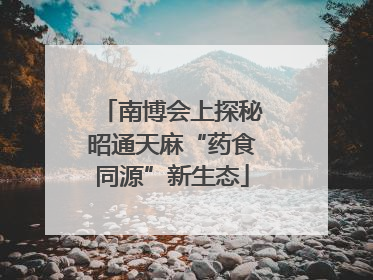 南博会上探秘昭通天麻“药食同源”新生态