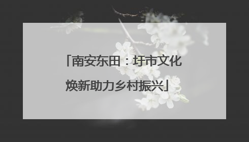 南安东田：圩市文化焕新助力乡村振兴