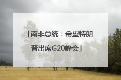 南非总统:希望特朗普出席G20峰会