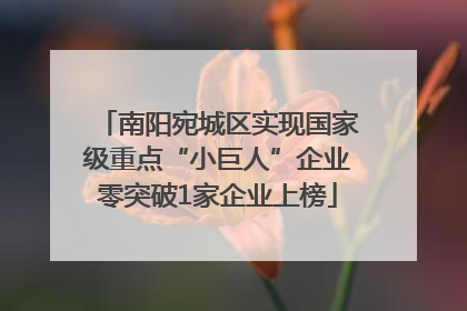 南阳宛城区实现国家级重点“小巨人”企业零突破1家企业上榜