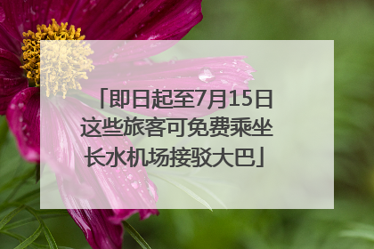 即日起至7月15日 这些旅客可免费乘坐长水机场接驳大巴