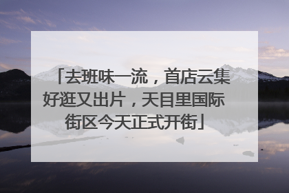 去班味一流，首店云集好逛又出片，天目里国际街区今天正式开街