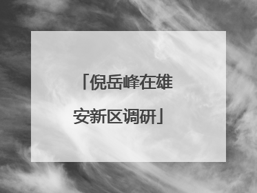 倪岳峰在雄安新区调研