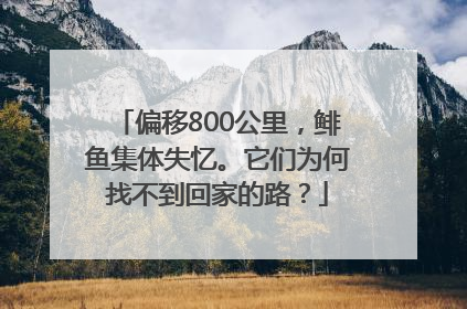 偏移800公里，鲱鱼集体失忆。它们为何找不到回家的路？