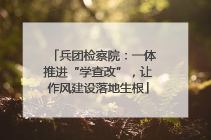 兵团检察院：一体推进“学查改”，让作风建设落地生根