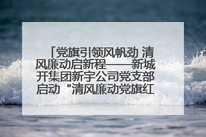 党旗引领风帆劲 清风廉动启新程——新城开集团新宇公司党支部启动“清风廉动党旗红”系列活动