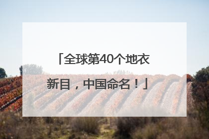 全球第40个地衣新目，中国命名！