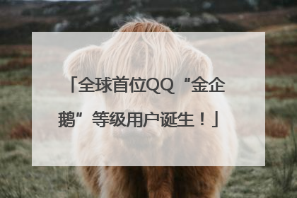 全球首位QQ“金企鹅”等级用户诞生！