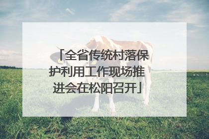 全省传统村落保护利用工作现场推进会在松阳召开
