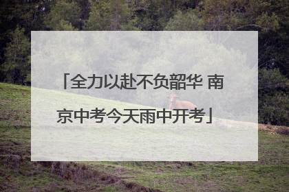 全力以赴不负韶华 南京中考今天雨中开考