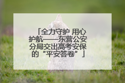 全力守护 用心护航——东营公安分局交出高考安保的“平安答卷”
