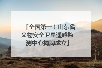 全国第一！山东省文物安全卫星遥感监测中心揭牌成立