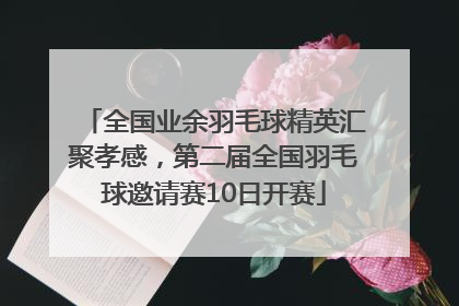 全国业余羽毛球精英汇聚孝感，第二届全国羽毛球邀请赛10日开赛