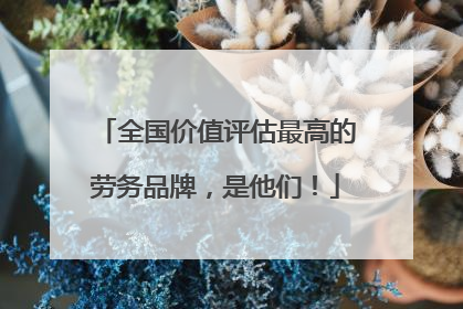 全国价值评估最高的劳务品牌，是他们！