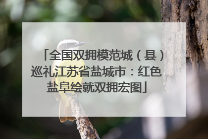 全国双拥模范城（县）巡礼江苏省盐城市：红色盐阜绘就双拥宏图