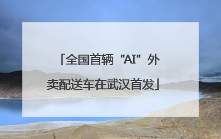全国首辆“AI”外卖配送车在武汉首发