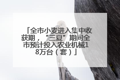 全市小麦进入集中收获期，“三夏”期间全市预计投入农业机械18万台（套）