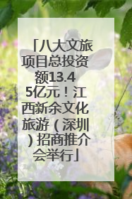 八大文旅项目总投资额13.45亿元！江西新余文化旅游（深圳）招商推介会举行