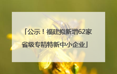 公示！福建拟新增62家省级专精特新中小企业