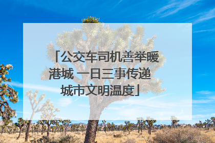 公交车司机善举暖港城 一日三事传递城市文明温度