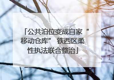 公共泊位变成自家“移动仓库” 铁西区柔性执法联合整治