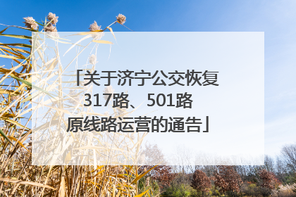 关于济宁公交恢复317路、501路原线路运营的通告