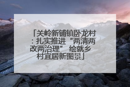 关岭新铺镇卧龙村：扎实推进“两清两改两治理” 绘就乡村宜居新图景