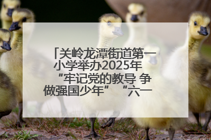 关岭龙潭街道第一小学举办2025年“牢记党的教导 争做强国少年”“六一”文艺汇演活动