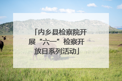 内乡县检察院开展“六一”检察开放日系列活动